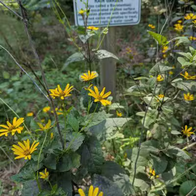 Horsham Dog Park - Horsham, PA