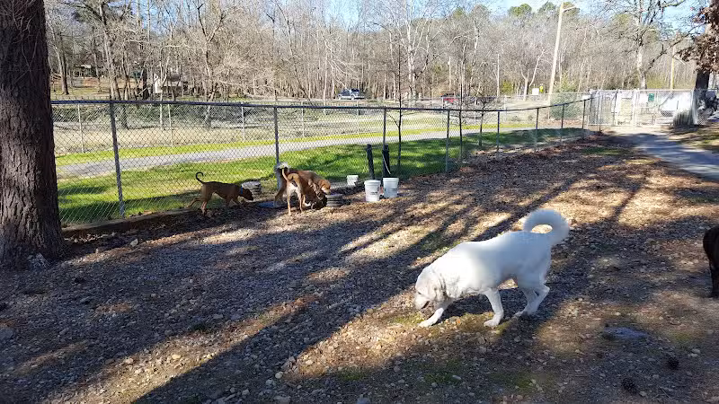 Hot Springs Bark Park - Hot Springs, AR