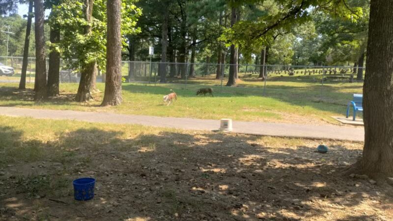 Hot Springs Bark Park - Hot Springs, AR