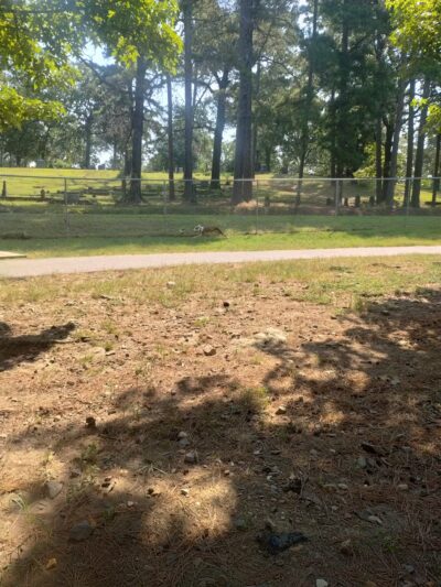 Hot Springs Bark Park - Hot Springs, AR