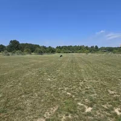 Lake Township Dog Park - Houghton Lake, MI