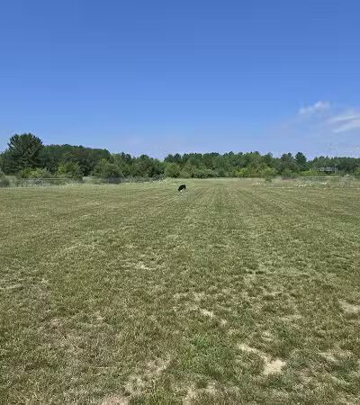 Lake Township Dog Park - Houghton Lake, MI