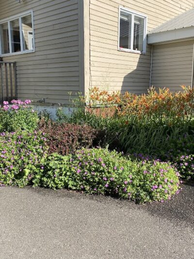 Houlton / Canadian Border KOA Journey - Houlton, ME