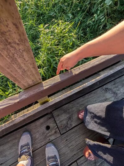 Bay Area Park Dog Park - Houston, TX