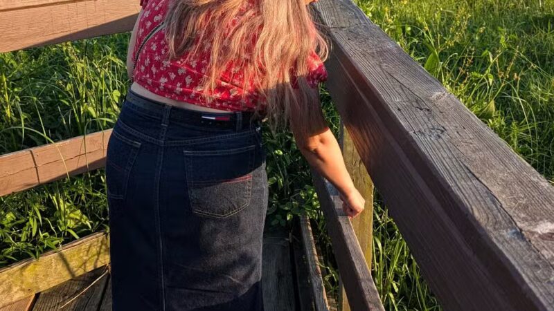 Bay Area Park Dog Park - Houston, TX