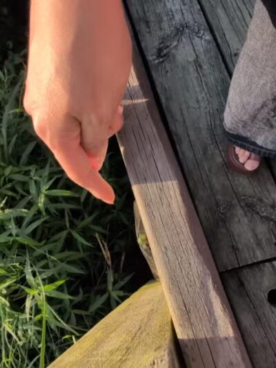 Bay Area Park Dog Park - Houston, TX