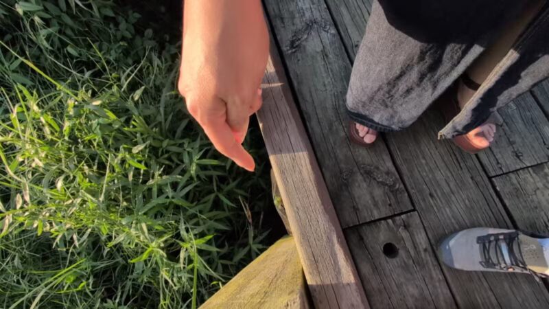 Bay Area Park Dog Park - Houston, TX