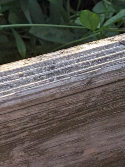 Bay Area Park Dog Park - Houston, TX