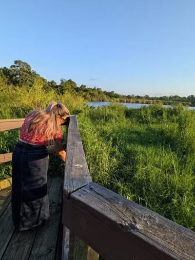 Bay Area Park Dog Park - Houston, TX