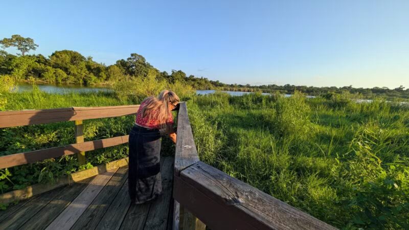 Bay Area Park Dog Park - Houston, TX