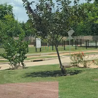 Cutten Green Dog Park - Houston, TX