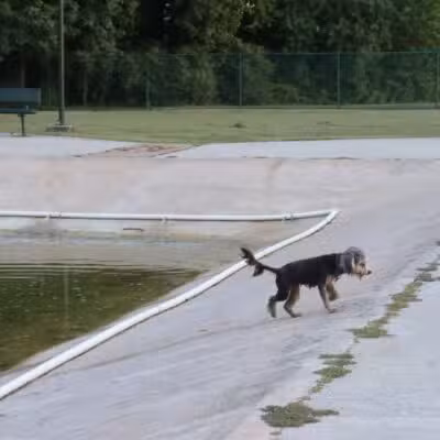 Gene Green Dog Park - Houston, TX