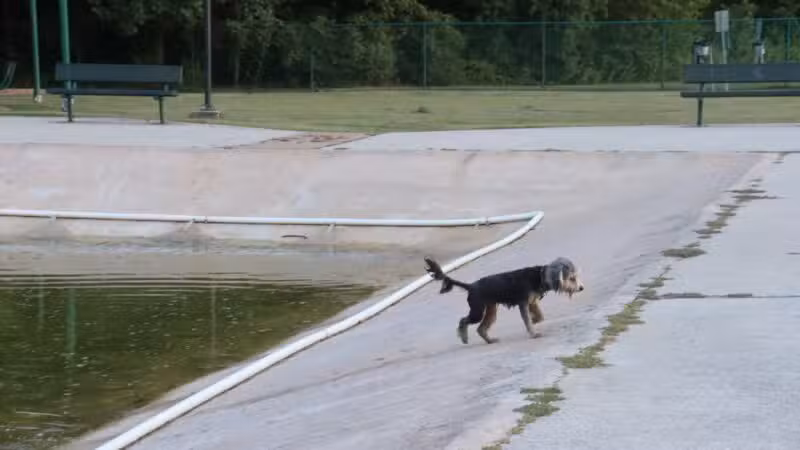 Gene Green Dog Park - Houston, TX