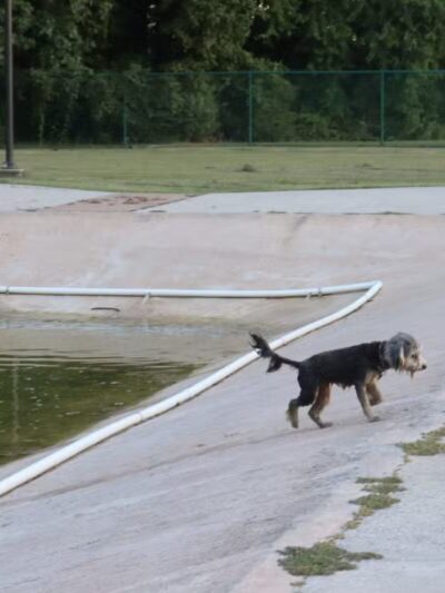 Gene Green Dog Park - Houston, TX