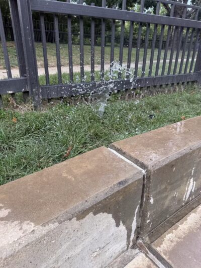 Johnny Steele Dog Park - Houston, TX