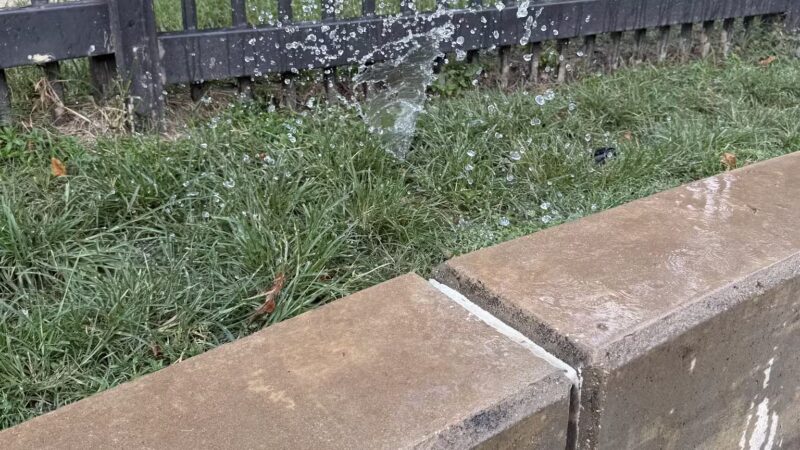 Johnny Steele Dog Park - Houston, TX