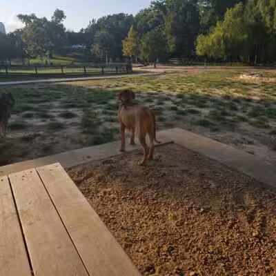 Johnny Steele Dog Park - Houston, TX