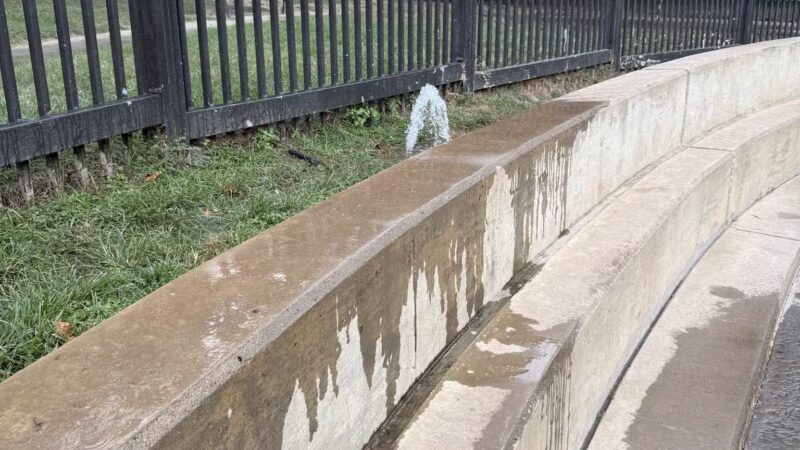 Johnny Steele Dog Park - Houston, TX