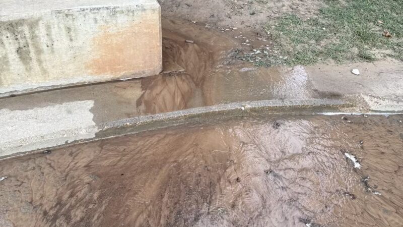 Johnny Steele Dog Park - Houston, TX