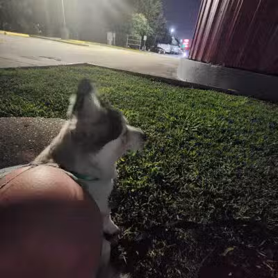 Maxey Park - Houston, TX