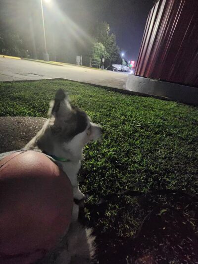 Maxey Park - Houston, TX