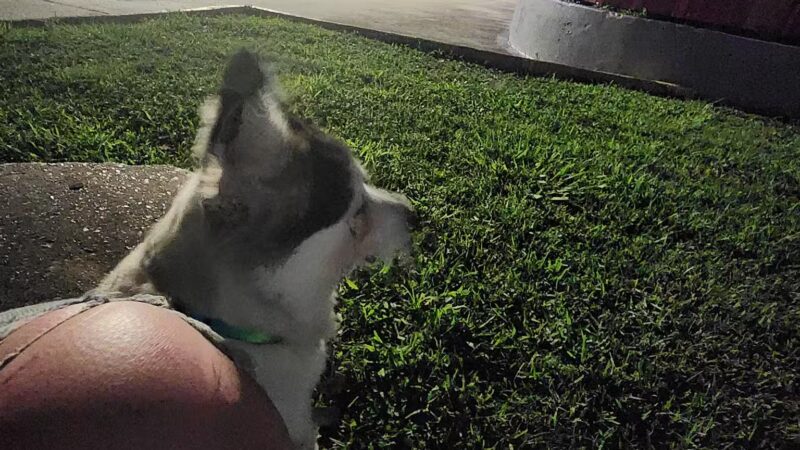 Maxey Park - Houston, TX