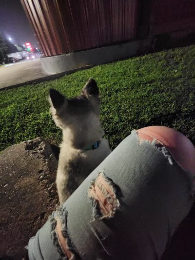 Maxey Park - Houston, TX