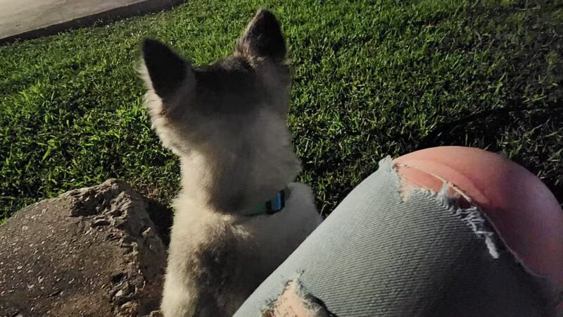 Maxey Park - Houston, TX