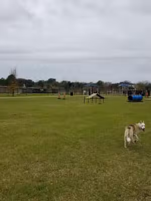 Bay Area Park Dog Park - Houston, TX
