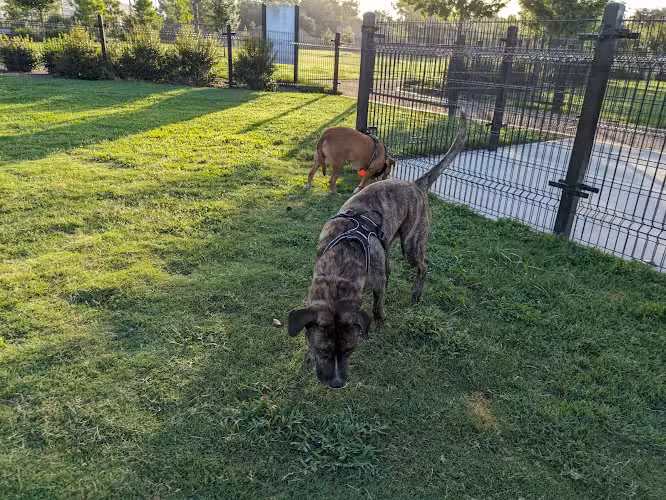 Cutten Green Dog Park - Houston, TX