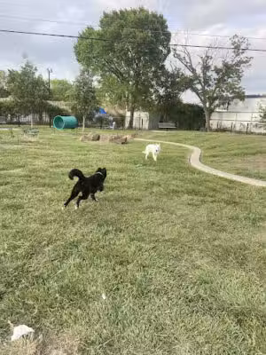 Jody Miller Dog Park - Houston, TX