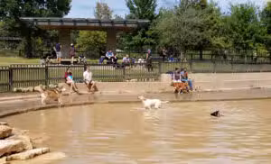 Johnny Steele Dog Park - Houston, TX