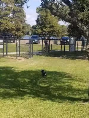 Lake Nassau Park: Dog Park - Houston, TX