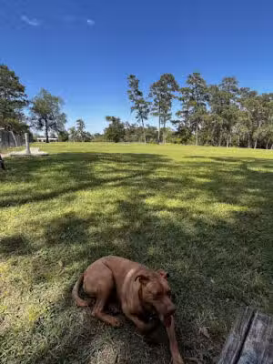 Maxey Park - Houston, TX
