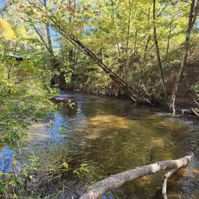 Artman Park - Howard City,