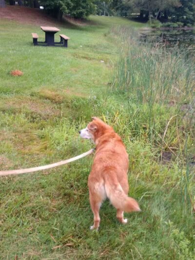 Artman Park - Howard City,