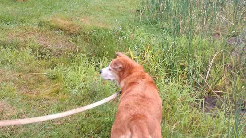 Artman Park - Howard City,