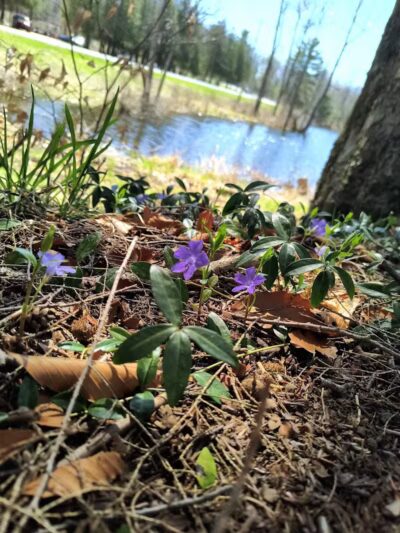 Artman Park - Howard City,