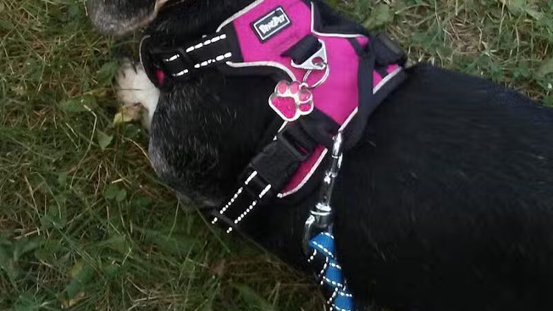 Ensley Park - Howard City,