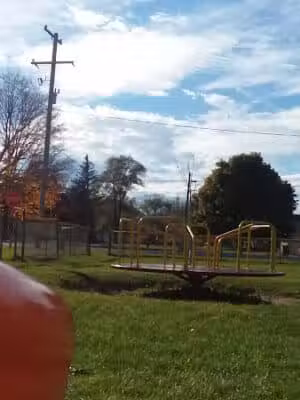 Herbert J Peck Park - Howard City,