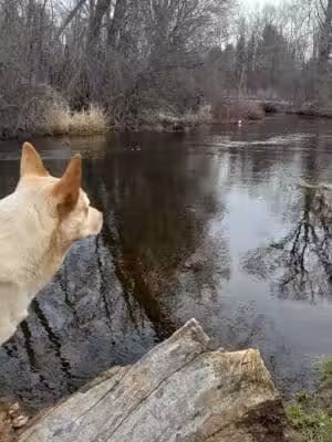 Minnie Farmer Park - Howard City,
