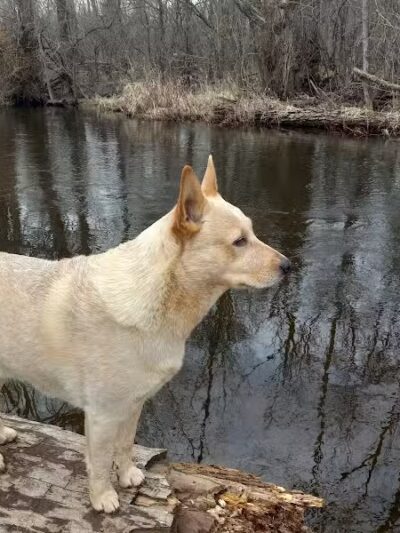 Minnie Farmer Park - Howard City,