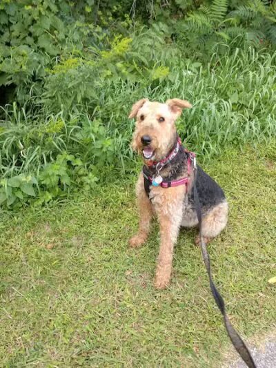 White Pine Trail State Park - Howard City,