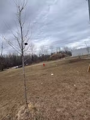 Howard Dog Park #2 - Howard,