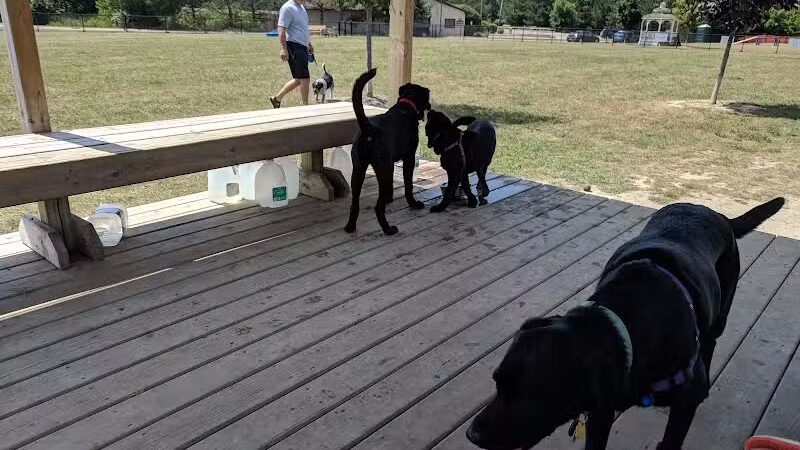 Countryside Veterinary Dog Park - Howell, MI