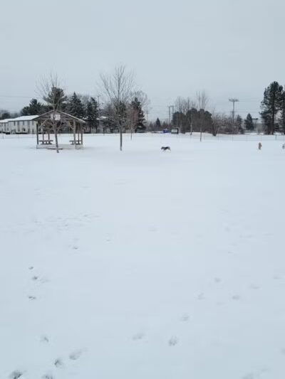 Countryside Veterinary Dog Park - Howell, MI