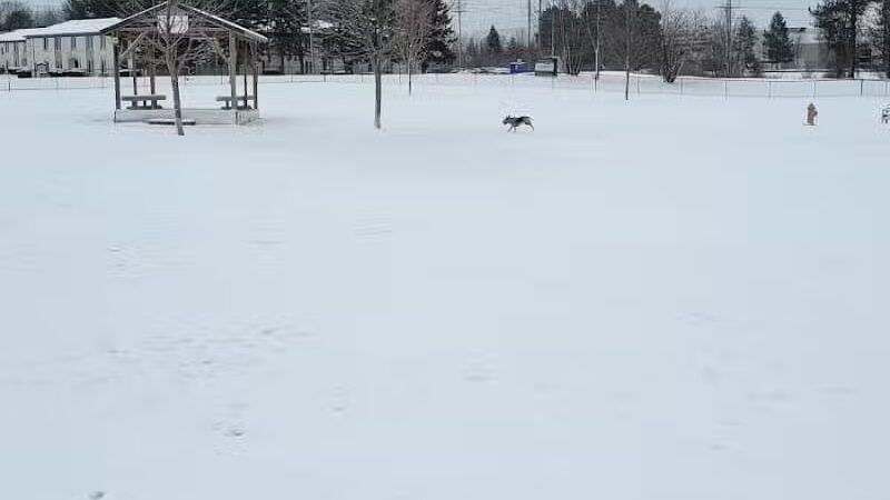 Countryside Veterinary Dog Park - Howell, MI