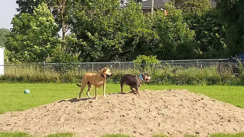 EZDogPark - Howell, MI