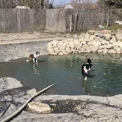 EZDogPark - Howell, MI