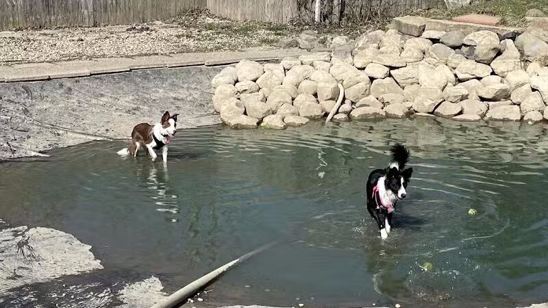 EZDogPark - Howell, MI